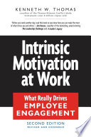 Intrinsic motivation at work : what really drives employee engagement /
