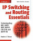 IP switching and routing essentials : understanding RIP, OSPF, BGP, MPLS, CR-LDP, and RSVP-TE /