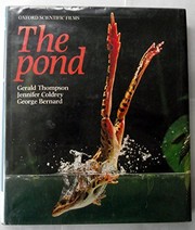The pond /