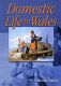 Domestic life in Wales /