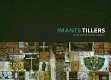 Imants Tillers : one world many visions /