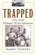 Trapped : the 1909 Cherry mine disaster /