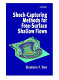 Shock-capturing methods for free-surface shallow flows /