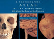 A photographic atlas of the human body : with selected cat, sheep, and cow dissections /