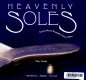 Heavenly soles : extraordinary twentieth-century shoes /