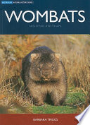 Wombats /