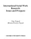 International social work research : issues and prospects /