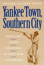 Yankee town, southern city : race and class relations in Civil War Lynchburg /