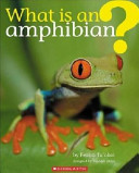 What is an amphibian? /