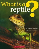 What is a reptile? /