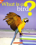 What is a bird? /