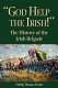 "God help the Irish!" : the history of the Irish Brigade /