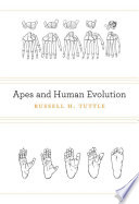 Apes and human evolution /