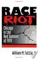 Race riot : Chicago in the Red Summer of 1919 /