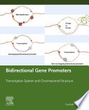 Bidirectional gene promoters : transcription system and chromosomal structure /