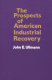 The prospects of American industrial recovery /