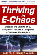 Thriving in e-chaos : discover the secrets of 20 companies that have conquered a turbulent marketplace /