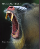 Mammal teeth : origin, evolution, and diversity /