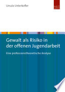 Gewalt als Risiko in der offenen Jugendarbeit : eine professionstheoretische Analyse /