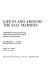 Life in and around the salt marshes ; a handbook of plant and animal life in and around the temperate Atlantic coastal marshes /