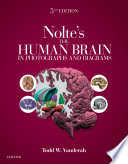 Nolte's the human brain in photographs and diagrams /