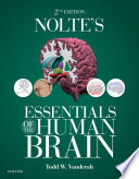 Nolte's essentials of the human brain /