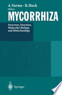 Mycorrhiza : Structure, Function, Molecular Biology and Biotechnology /