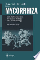 Mycorrhiza : Structure, Function, Molecular Biology and Biotechnology /