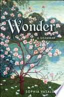 Wonder : a grammar /