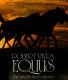 Equus : the creation of a horse /