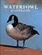 Waterfowl illustrated /