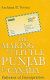 The making of Little Punjab in Canada : patterns of immigration /