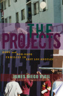 The projects : gang and non-gang families in East Los Angeles /