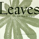 Leaves : in myth, magic & medicine /