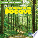 VIVO CERCA DE UN BOSQUE (THERE'S A FOREST IN MY BACKYARD!);