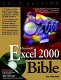 Microsoft Excel 2000 Bible /