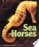 Sea horses /