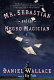 Mr. Sebastian and the negro magician : a novel /