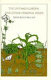 The untamed garden and other personal essays /