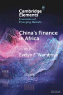China's finance in Africa : what and how much? /