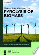 Pyrolysis of biomass /