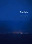 Telesthesia : communication, culture, and class /