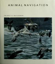 Animal navigation /