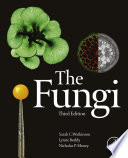 The fungi /