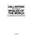 Sea guide to whales of the world /