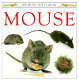 Mouse /