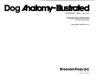 Dog anatomy-illustrated /