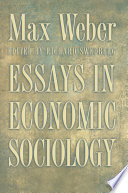 Essays in economic sociology /