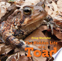 The hidden life of a toad /