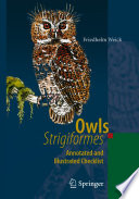 Owls (Strigiformes) : annotated and illustrated checklist /